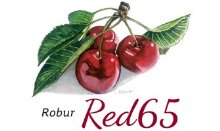 red55
